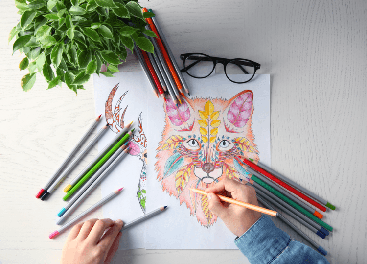 Essential Adult Coloring Supplies: List of Needed Tools at WoWPencils