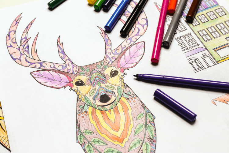 Essential Adult Coloring Supplies: List of Needed Tools at WoWPencils