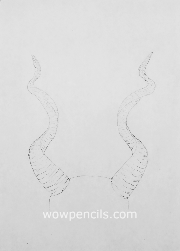 How to Draw Horns Best Pencil Tutorial at WoWPencils