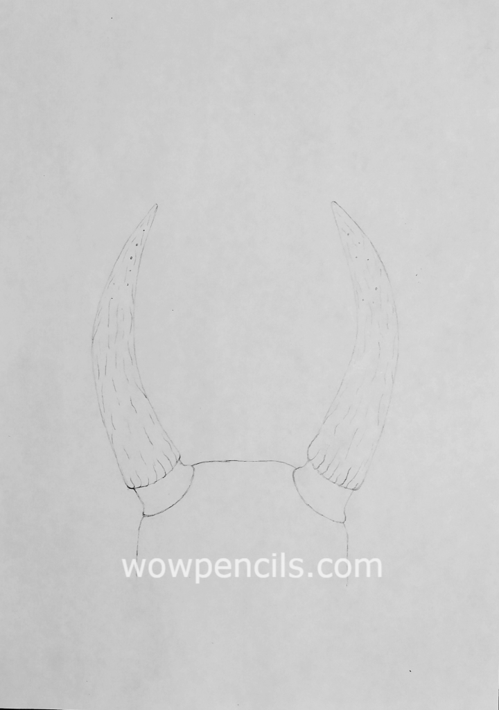 How to Draw Horns Best Pencil Tutorial at WoWPencils