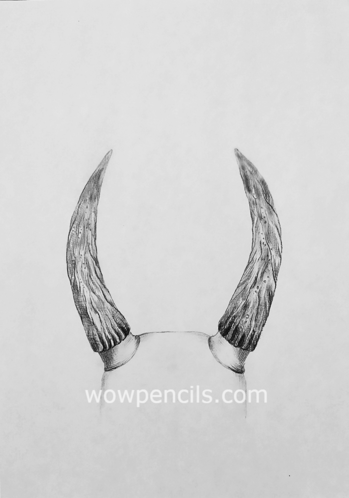 How to Draw Horns Best Pencil Tutorial at WoWPencils