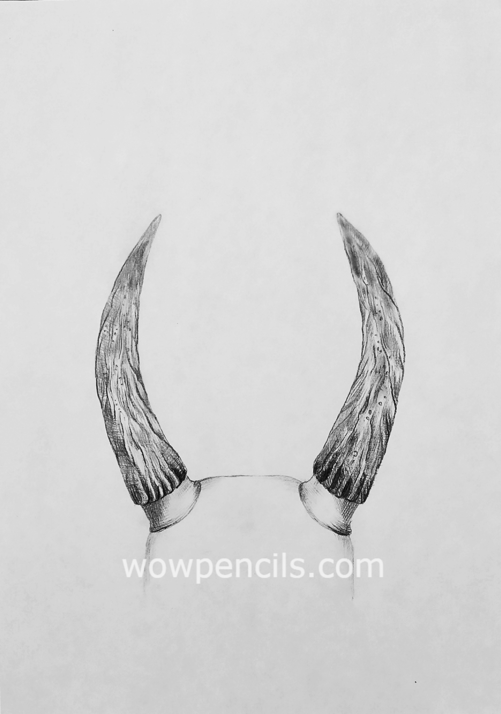 How to Draw Horns Best Pencil Tutorial at WoWPencils