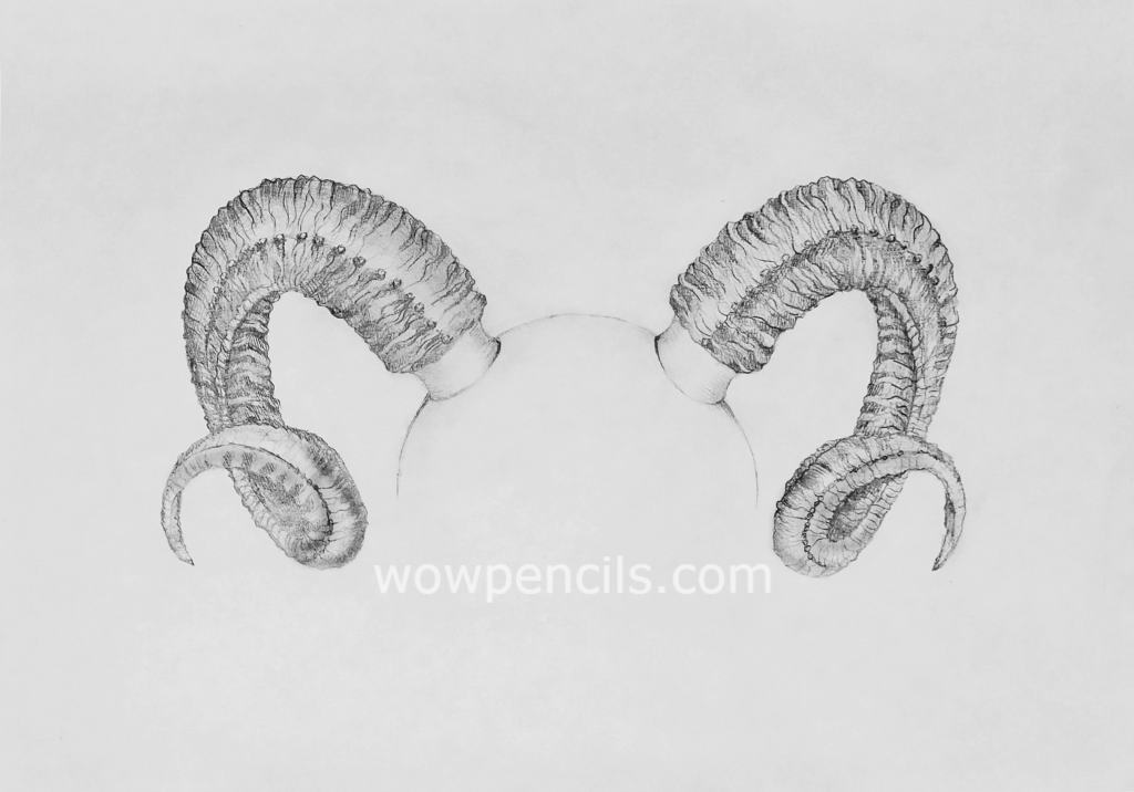 How to Draw Horns Best Pencil Tutorial at WoWPencils